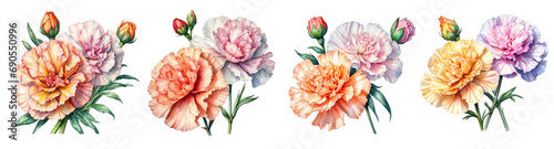 Set of Watercolor Carnation Flower Clipart on transparent background