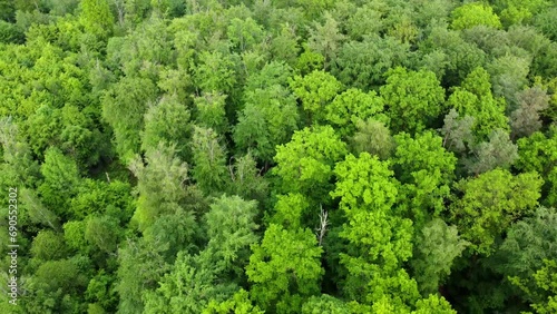 Aerial footage of low reverse flight over lush green forest in Spring in Southern Germany photo