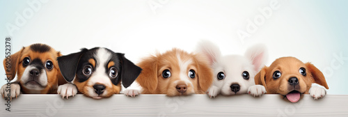 Banner with cute puppy. Group of funny dogs above white banner looking at camera. Signboard or gift card for pet shop or vet clinic. © ita_tinta_