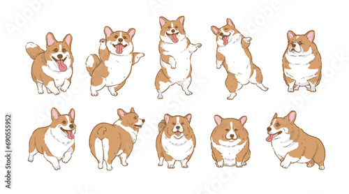 Cute Cartoon corgi dog set	 , Cartoon Dog Character Design with Flat Colors in Various Poses