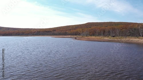 Wildlife of Russia. The camera flies up to wild deer grazing by the lake. Sikhote-Alin Biosphere Reserve. photo