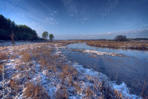 landscape early winter trees and fields covered by snow in Poland  river valley Knyszynska Primeval Forest north Poland Europe on sunny day in winter  amazing clouds in blue sky  