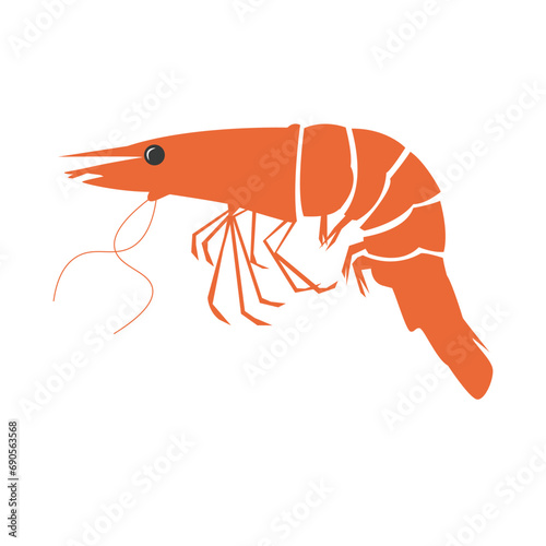 Vector shrimp. Isolated shrimp on white background