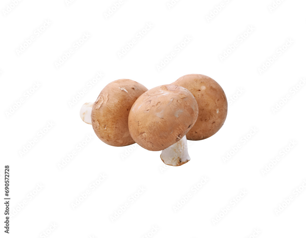 Brown champignon mushroom and rosemary leaves transparent png Brown champignon mushroom and rosemary leaves transparent png