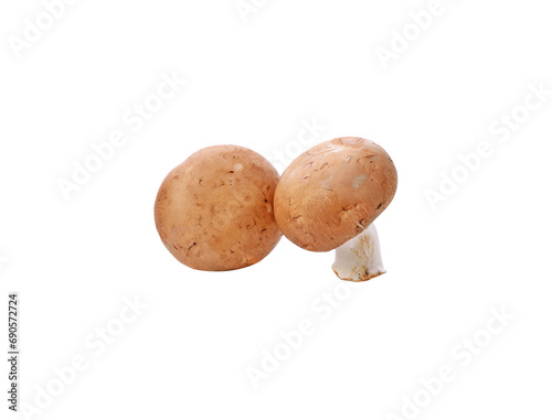 Brown champignon mushroom and rosemary leaves transparent png