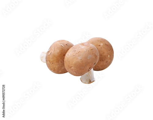 Brown champignon mushroom and rosemary leaves transparent png