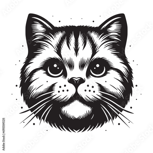 black and white cute cat with eyes illustration vector