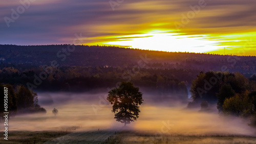 foggy sunrise