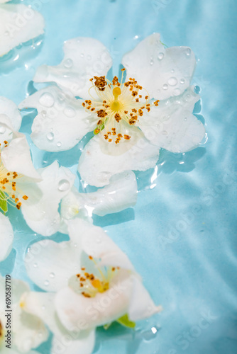 Beautiful images of flowers on water, flowers and water wallpapers, high quality images