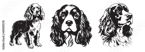 Cocker Spaniel dog heads set, black and white vector illustrations