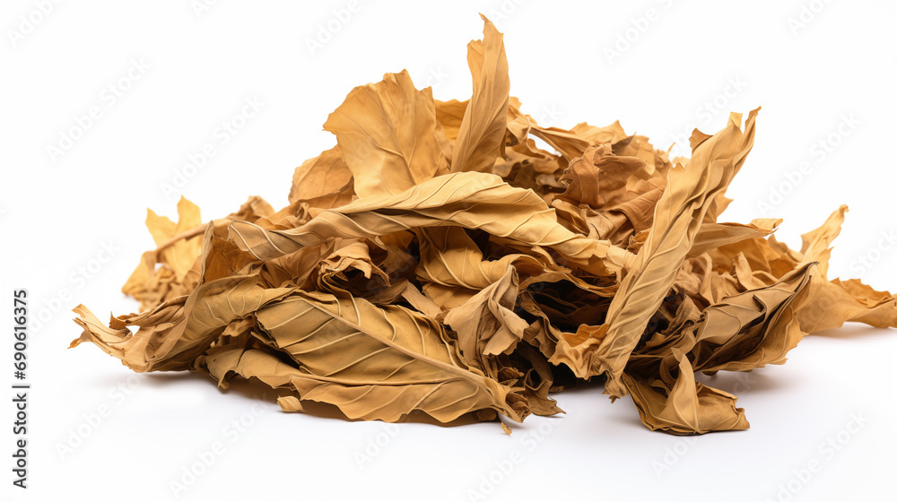 Dry tobacco leaves pictures