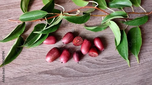 Actinidia arguta Kens Red 3 mini kiwi small baby, kiwi, cocktail, dessert fruits plant on wooden background
