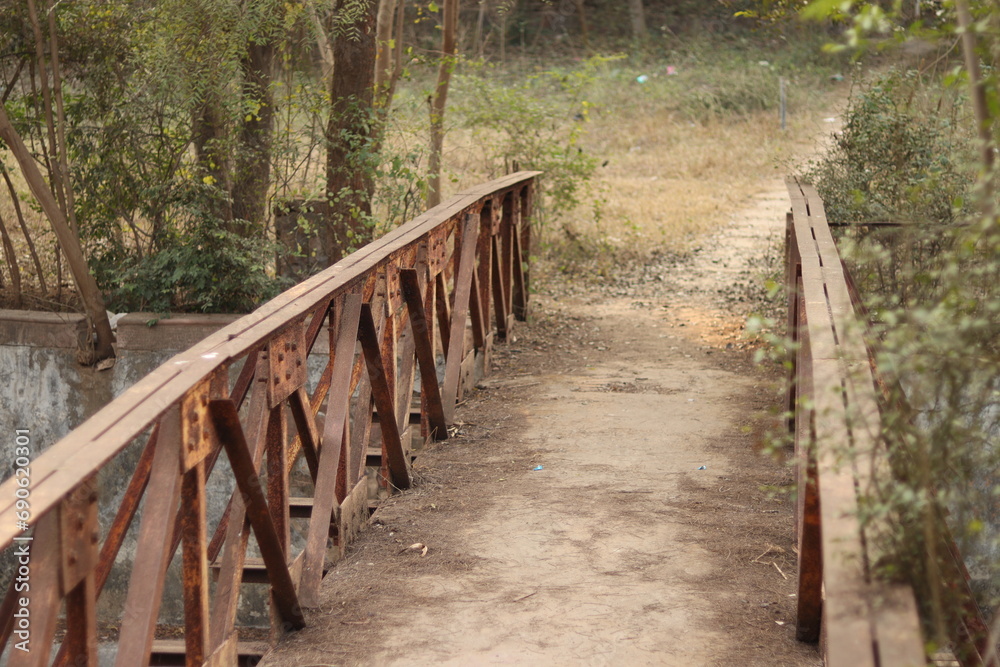 A long going iron Bridge in the middle of a Forest reserve in Bhondsi