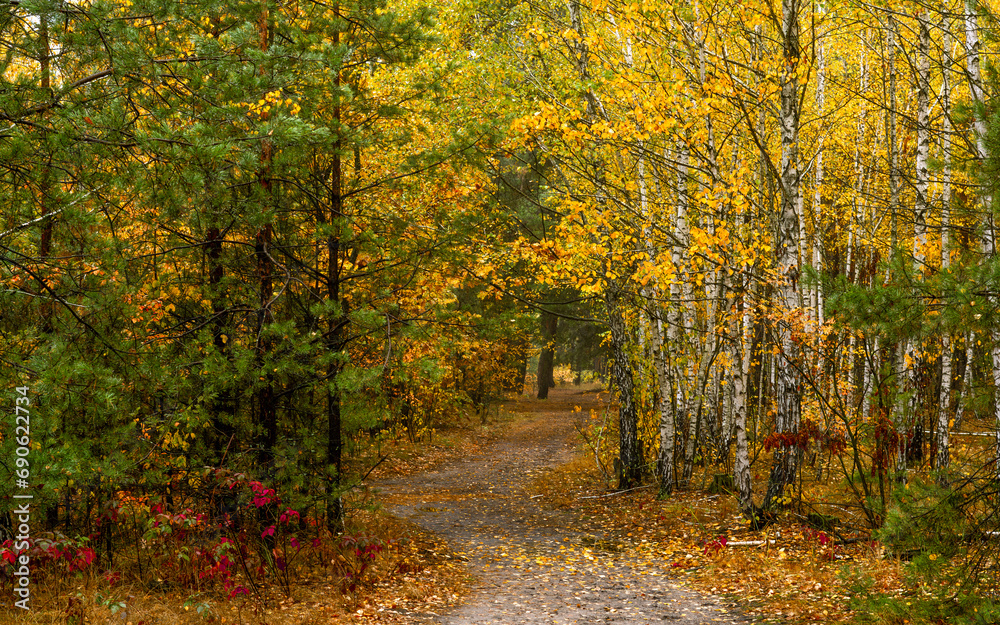Old park. The trees are painted in autumn colors. Beauty of nature. Hiking. Walks in the open air. Old park. The trees are painted in autumn colors. Beauty of nature. Hiking. Walks in the open air.