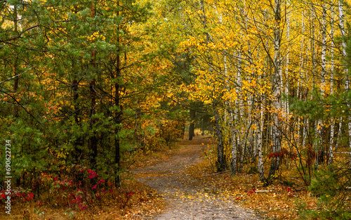 Old park. The trees are painted in autumn colors. Beauty of nature. Hiking. Walks in the open air. © Mykhailo