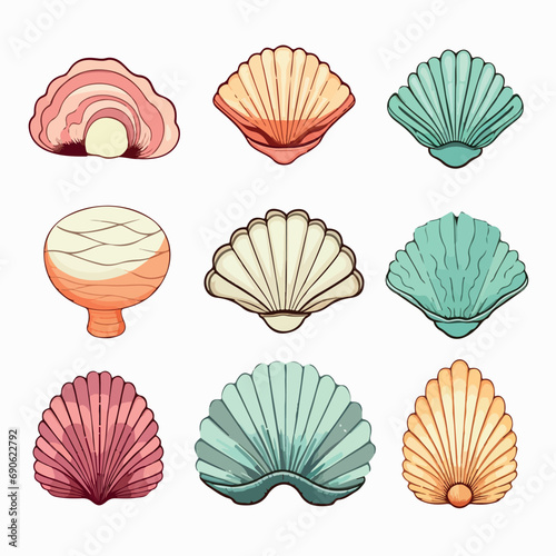 Sea shells set of 9 flat vector illustration. Sea shells set of 9 hand drawing isolated vector illustration photo