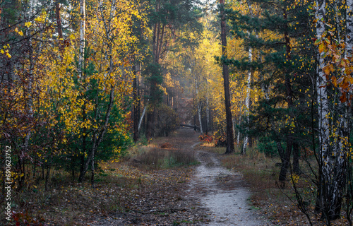 Old park. The trees are painted in autumn colors. Beauty of nature. Hiking. Walks in the open air.