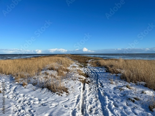 dunes with snow in winter