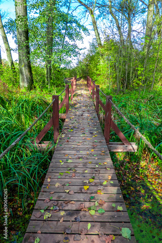 Beautiful autumn nature with a wooden bridge over the swamp of the dead end of the Laborec river in the Oborin region, Slovakia