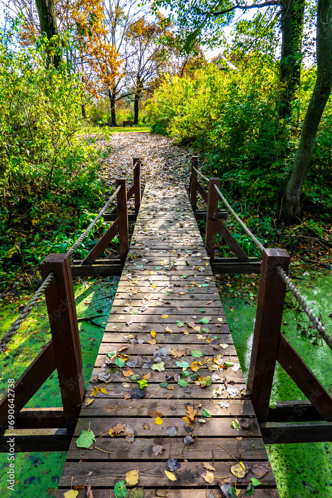 Obraz premium Beautiful autumn nature with a wooden bridge over the swamp of the dead end of the Laborec river in the Oborin region, Slovakia