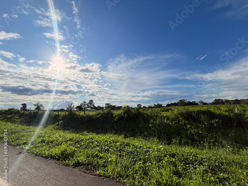 irrigation system in the field