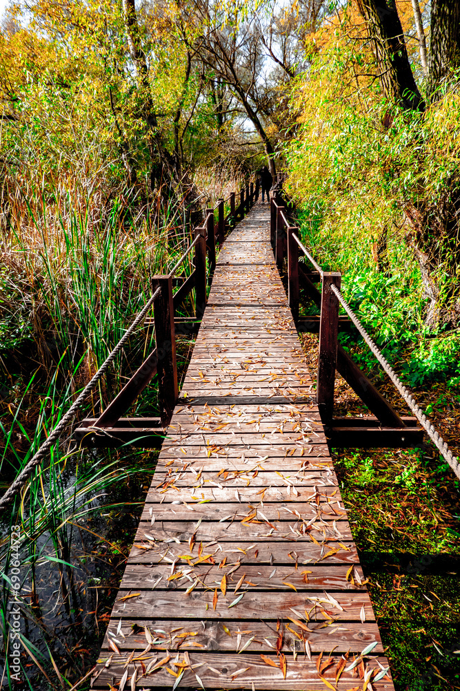 Obraz premium Beautiful autumn nature with a wooden bridge over the swamp of the dead end of the Laborec river in the Oborin region, Slovakia