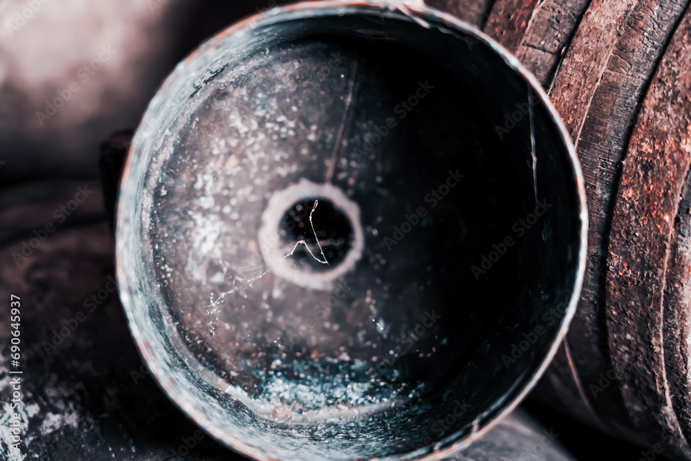 Old vintage wine barrels, an old metal watering can 