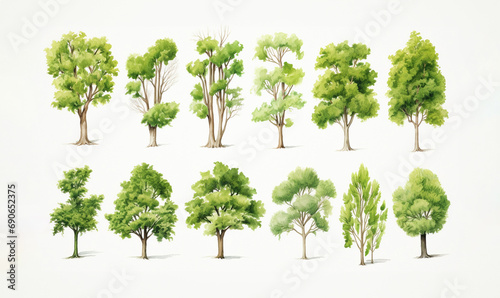 the charm of a watercolor-style illustration showcasing a collection of summer or spring trees in a delightful cartoon style  isolated on a white background. Generative AI.