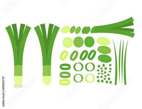 Set of root of fresh leek.Green onion.Slice, ring, chooped and whole vegetable.Flat design.Sign, symbol, icon or logo isolated on white background.Organic healthy food.Cartoon vector illustration. photo