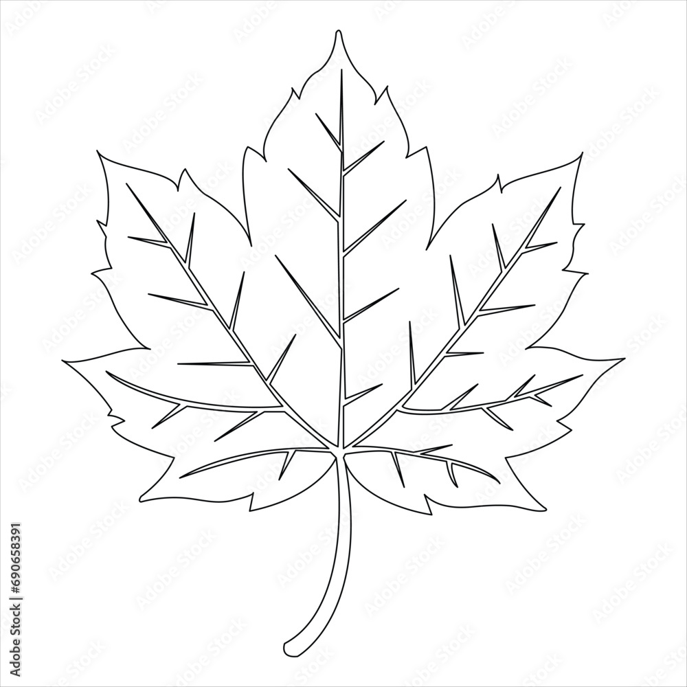 Continuous single line art drawing maple leaf hand drawn minimalist and outline vector illustration