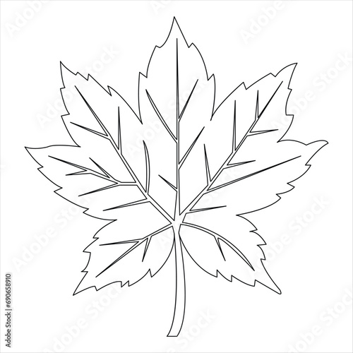 Continuous single line art drawing maple leaf hand drawn minimalist and outline vector illustration © Shemol