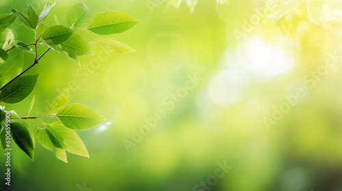 Serene Spring Background: Fresh Green Tree Leaves in Nature's Blurred Beauty - Lush Foliage and Vibrant Seasonal Growth for a Tranquil Summer Landscape.