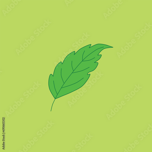 The leaf on the yellow background