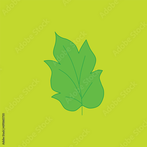 The leaf on the yellow background