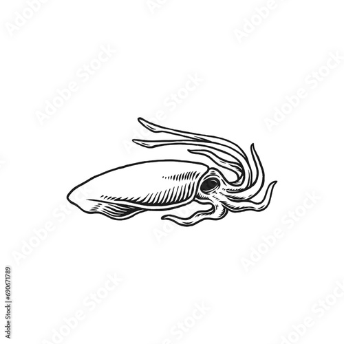 Obraz na płótnie squid vector engraving hand drawn seafood logo w salonie