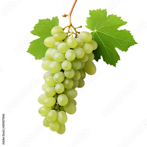 Appetizing grapes on transparent background PNG. Healthy food concept.
