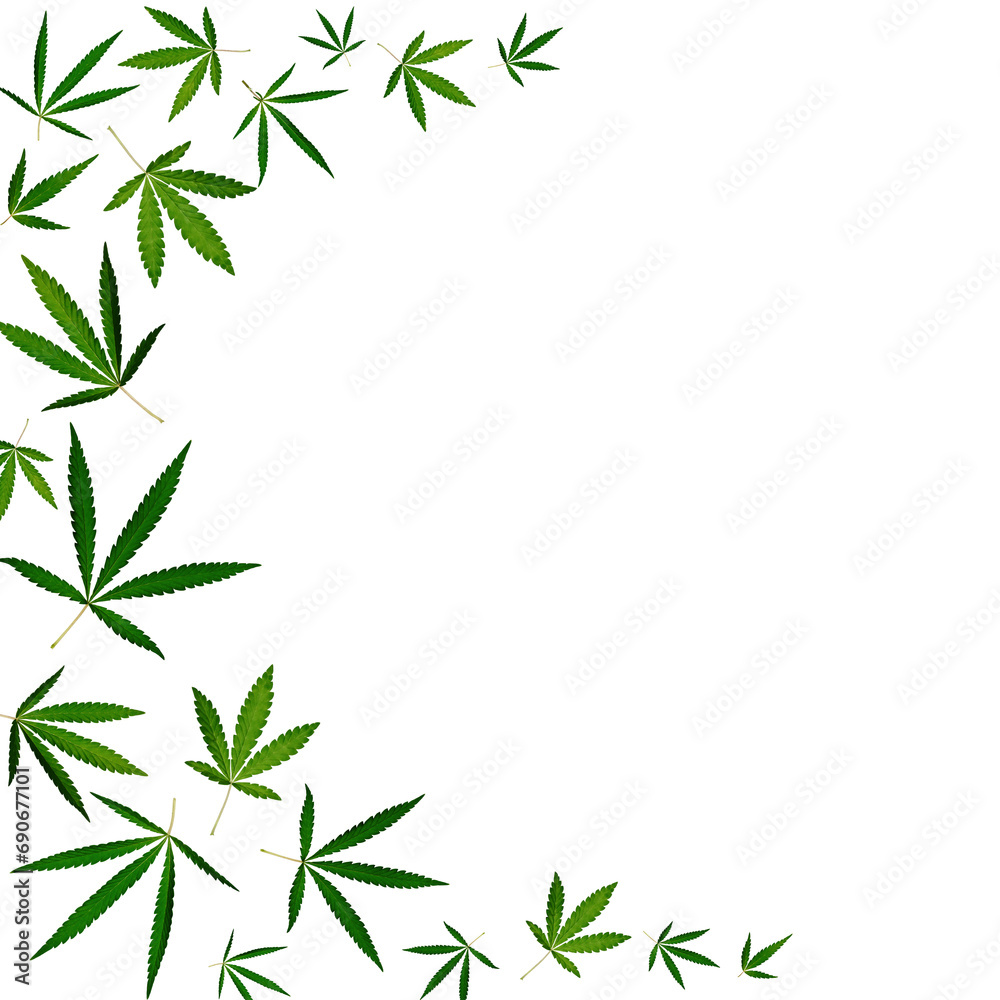Hemp leaf frame isolated on white background. Hemp leaf frame isolated on white background.