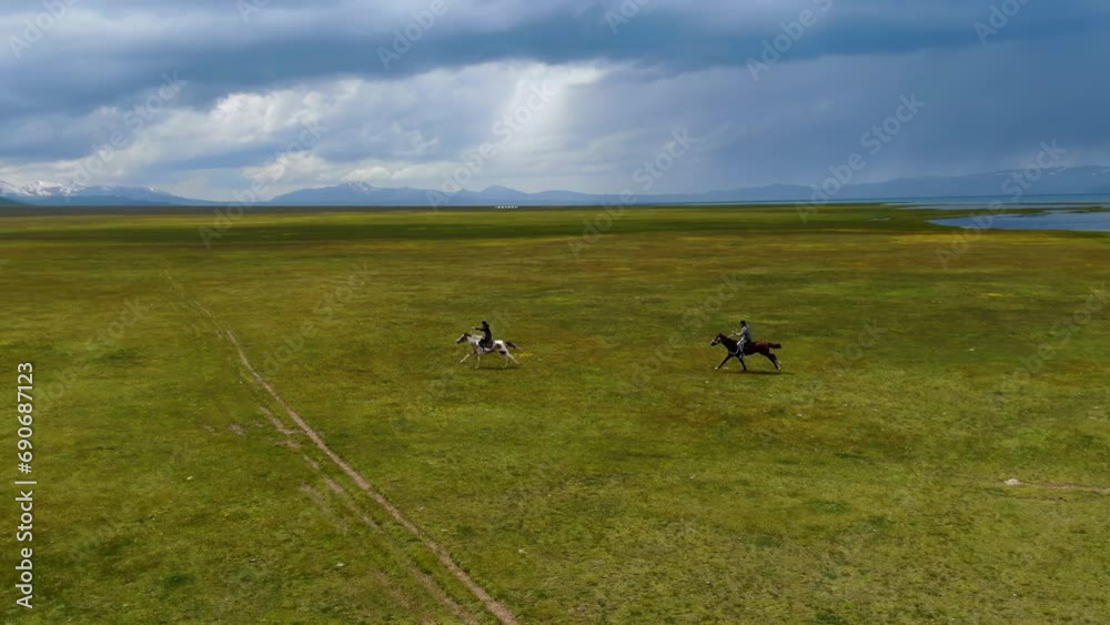 Aerial view of horse riders on green meadow Aerial view of horse riders on green meadow