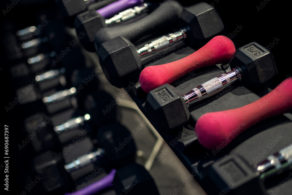 Naklejka premium Exercise equipment in the gym.