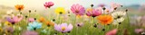 spring blooming, beautiful meadow field full of flowers of different colors in full bloom