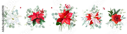Emerald christmas greenery, red poinsettia, amaryllis, spruce, fir, pine, winter berry vector design garlands photo