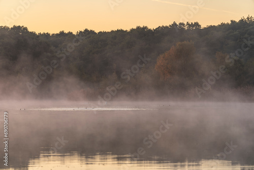 Dawn scenery in fall at a foggy lake near Waren, Muritz, Germany © NaturePicsFilms