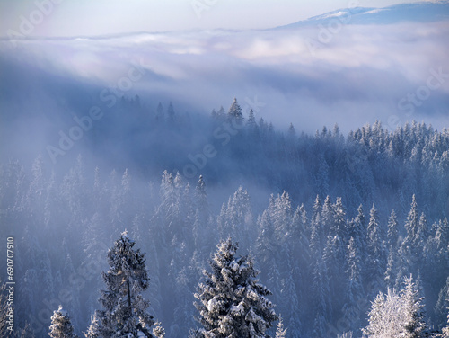 Zima w Górach - zamglony las Gorce