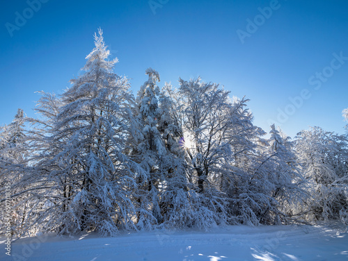 Zima w Gorcach - Szlak na Turbacz