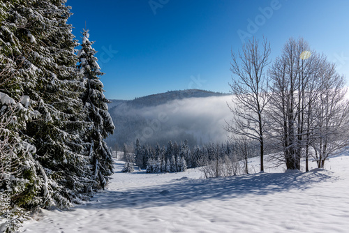 Gorce Zima - szlak na Turbacz przez Stare Wierchy