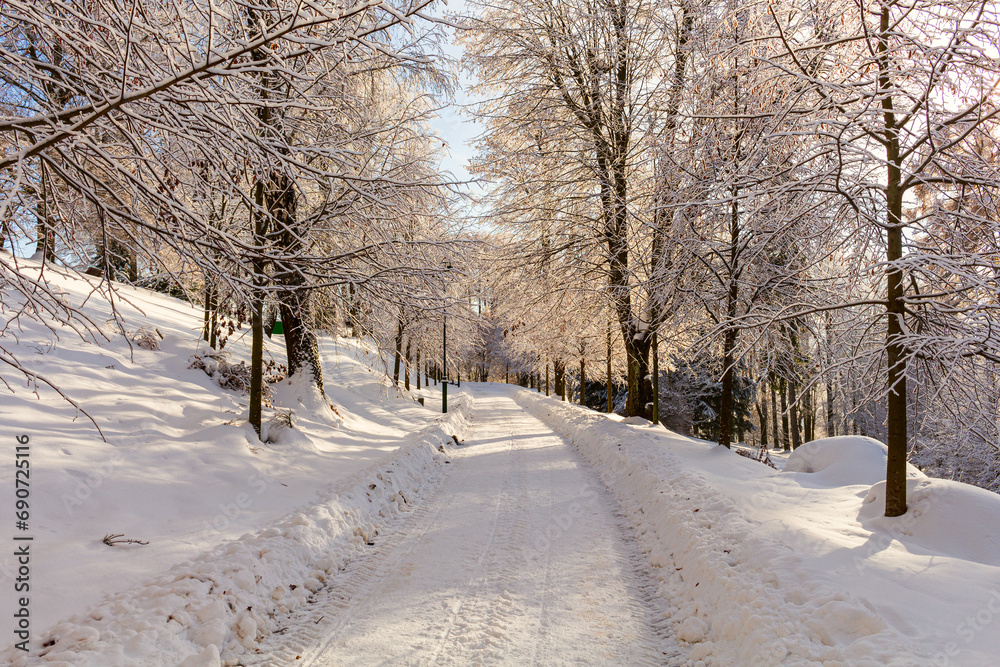 Obraz premium Winter landscape. Winter road and trees covered with snow