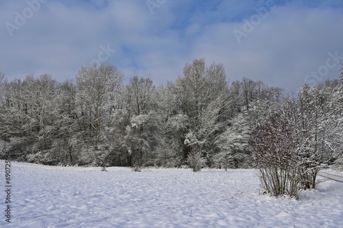 Beautiful snowy landscape. Winter nature - seasonal concept.