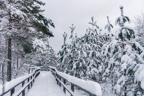 a snow-covered path leading to Parnidis dune in Nida photo