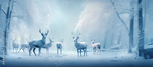 Deer in snowy forest. cool color. wild nature. © jambulart