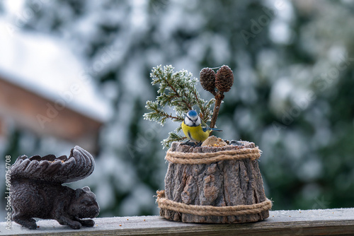 a bluetit, cyanistes caeruleus, perched on a wooden pot with bird feed at a wintry day photo